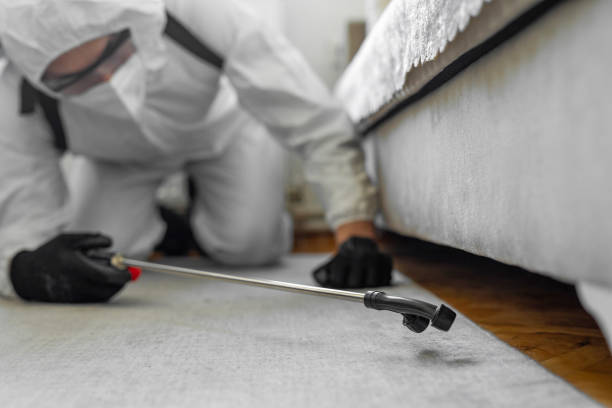 Professional Termite Control technician working in Semmes, AL