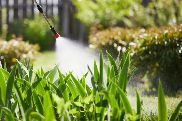 24/7 Emergency Termite Control experts in Semmes, AL