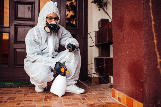Reliable Termite Control contractor in Semmes, AL by Nex Pest Control